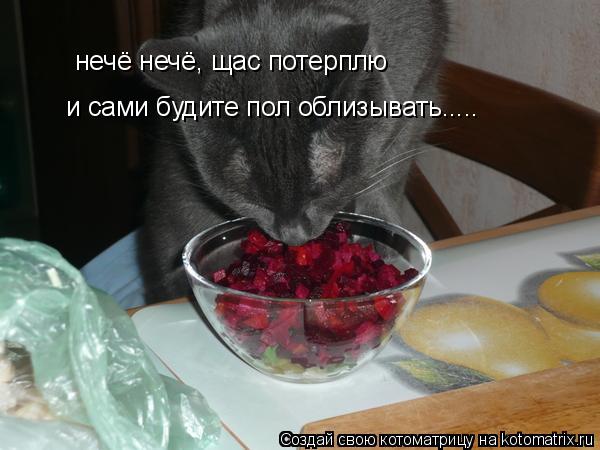 нечё нечё, щас потерплю и сами будите пол облизывать........ Котоматрица: нечё нечё, щас потерплю и сами будите пол облизывать.....