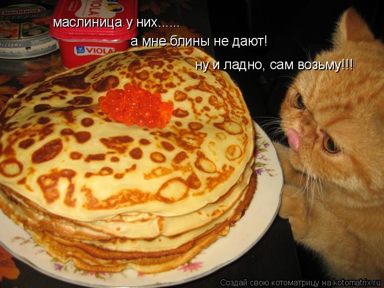 маслиница у них...... а мне блины не дают! ну и ладно, сам возьму!!!... Котоматрица: маслиница у них...... а мне блины не дают! ну и ладно, сам возьму!!!