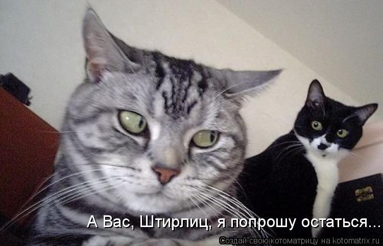 А Вас, Штирлиц, я попрошу остаться...... Котоматрица: А Вас, Штирлиц, я попрошу остаться...