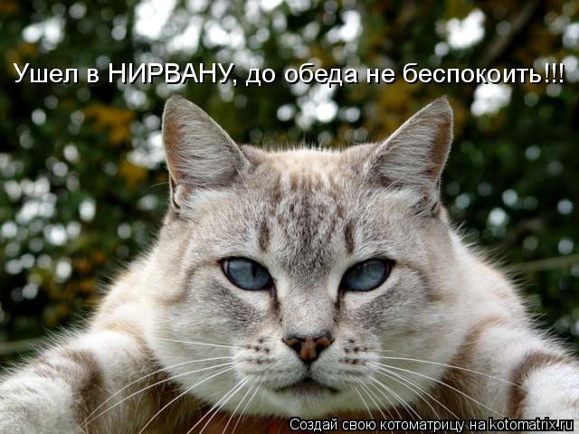 Ушел в НИРВАНУ, до обеда не беспокоить!!!... Котоматрица: Ушел в НИРВАНУ, до обеда не беспокоить!!!