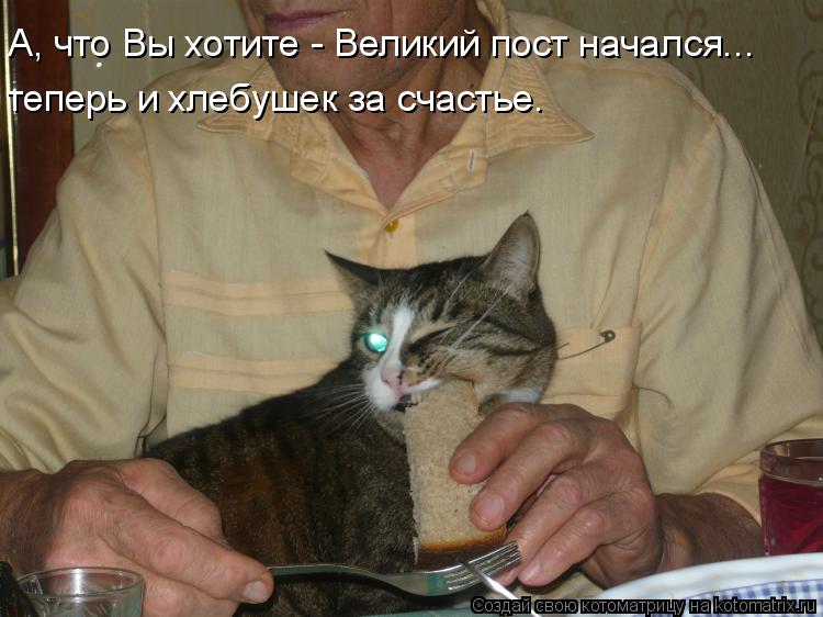 А, что Вы хотите - Великий пост начался... теперь и хлебушек за счастье.... Котоматрица: А, что Вы хотите - Великий пост начался... теперь и хлебушек за счастье.