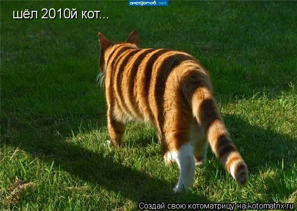 Котоматрица: шёл 2010й кот...