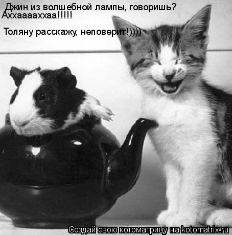 Джин из волшебной лампы, говоришь? Аххааааххаа!!!!! Толяну расскажу, неповерит!))))... Котоматрица: Джин из волшебной лампы, говоришь? Аххааааххаа!!!!! Толяну расскажу, неповерит!))))