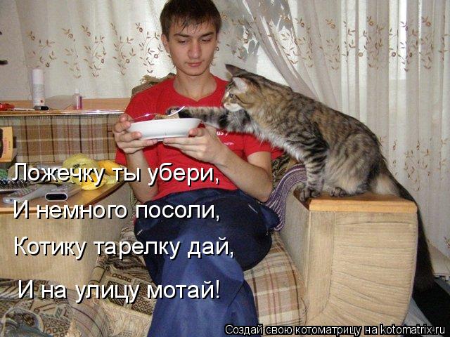 Ложечку ты убери, И немного посоли, Котику тарелку дай, И на улицу мотай!... Котоматрица: Ложечку ты убери, И немного посоли, Котику тарелку дай, И на улицу мотай!