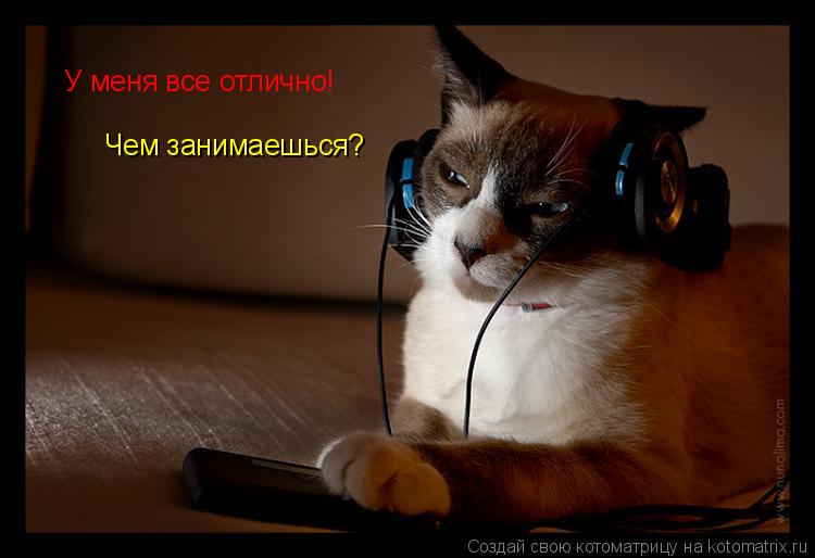 У меня все отлично! Чем занимаешься?... Котоматрица: У меня все отлично! Чем занимаешься?