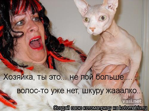 Хозяйка, ты это... не пой больше.... волос-то уже нет, шкуру жааалко...... Котоматрица: Хозяйка, ты это... не пой больше.... волос-то уже нет, шкуру жааалко...