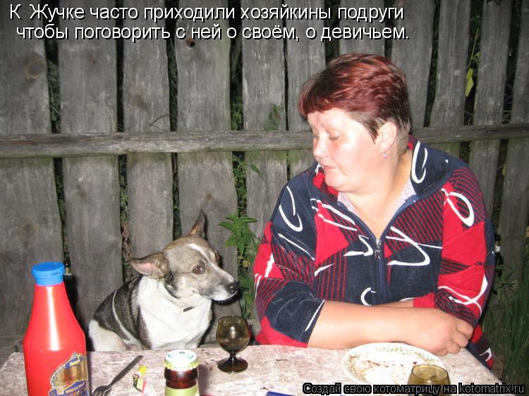 К Жучке часто приходили хозяйкины подруги чтобы поговорить с ней о своём, о девичьем.... Котоматрица: К Жучке часто приходили хозяйкины подруги чтобы поговорить с ней о своём, о девичьем.