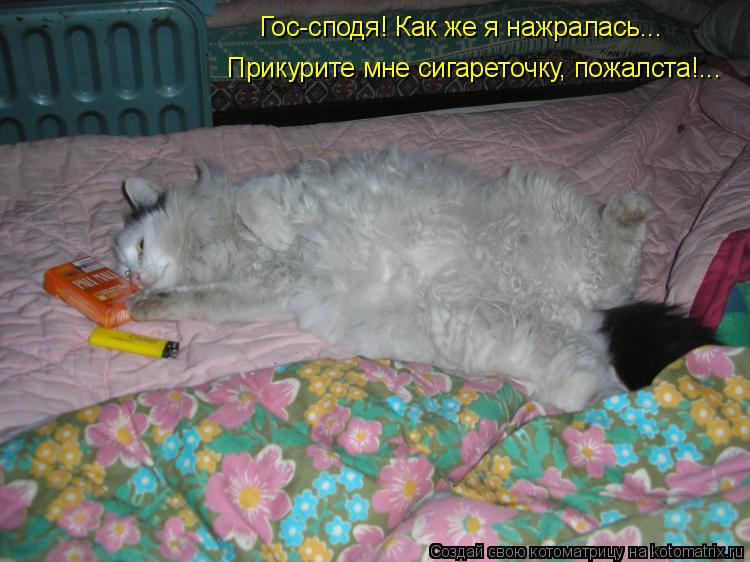 Гос-сподя! Как же я нажралась... Прикурите мне сигареточку, пожалста!...... Котоматрица: Гос-сподя! Как же я нажралась... Прикурите мне сигареточку, пожалста!...