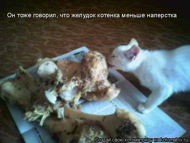 Он тоже говорил, что желудок котенка меньше наперстка Он тоже говорил, что желудок котенка меньше нап... Котоматрица: Он тоже говорил, что желудок котенка меньше наперстка Он тоже говорил, что желудок котенка меньше наперстка