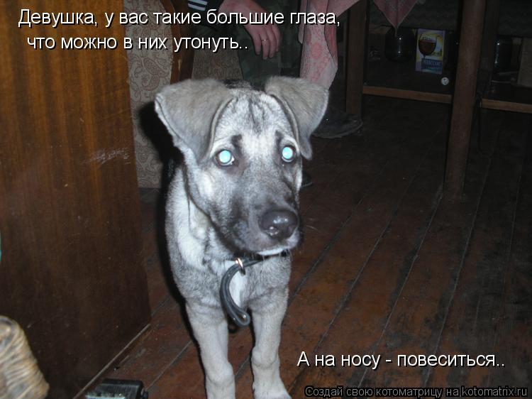 Девушка, у вас такие большие глаза, что можно в них утонуть.. А на носу - повеситься..... Котоматрица: Девушка, у вас такие большие глаза, что можно в них утонуть.. А на носу - повеситься..