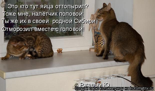 Это кто тут яйца оттопырил? Тоже мне, налётчик половой: Ты же их в своей родной Сибири Отморозил ... Котоматрица: Это кто тут яйца оттопырил? Тоже мне, налётчик половой: Ты же их в своей родной Сибири Отморозил вместе с головой! Ржавый Ю