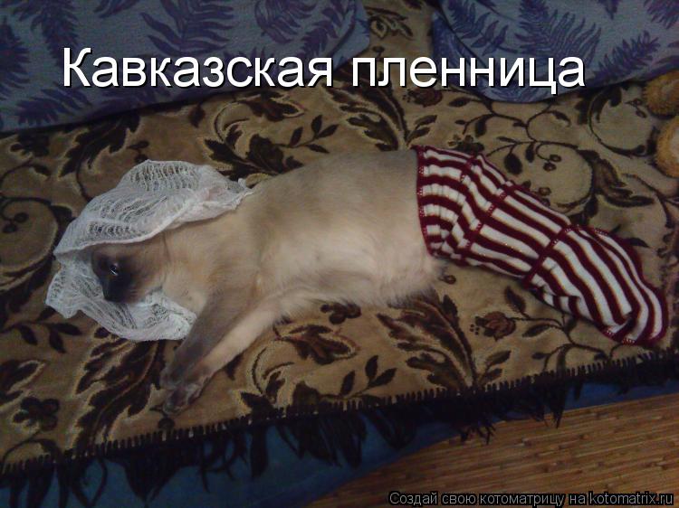 Кавказская пленница... Котоматрица: Кавказская пленница