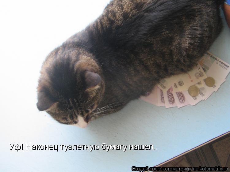 Уф! Наконец туалетную бумагу нашел..... Котоматрица: Уф! Наконец туалетную бумагу нашел..