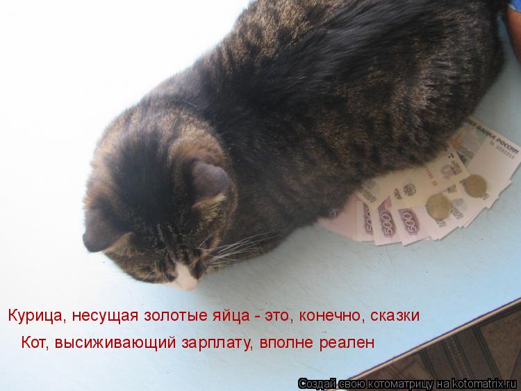 Котоматрица: Курица, несущая золотые яйца - это, конечно, сказки Кот, высиживающий зарплату, вполне реален