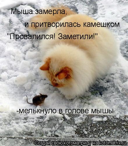 Мыша замерла, и притворилась камешком "Провалился! Заметили!" -мелькнуло в голове мышы... Котоматрица: Мыша замерла, и притворилась камешком "Провалился! Заметили!" -мелькнуло в голове мышы