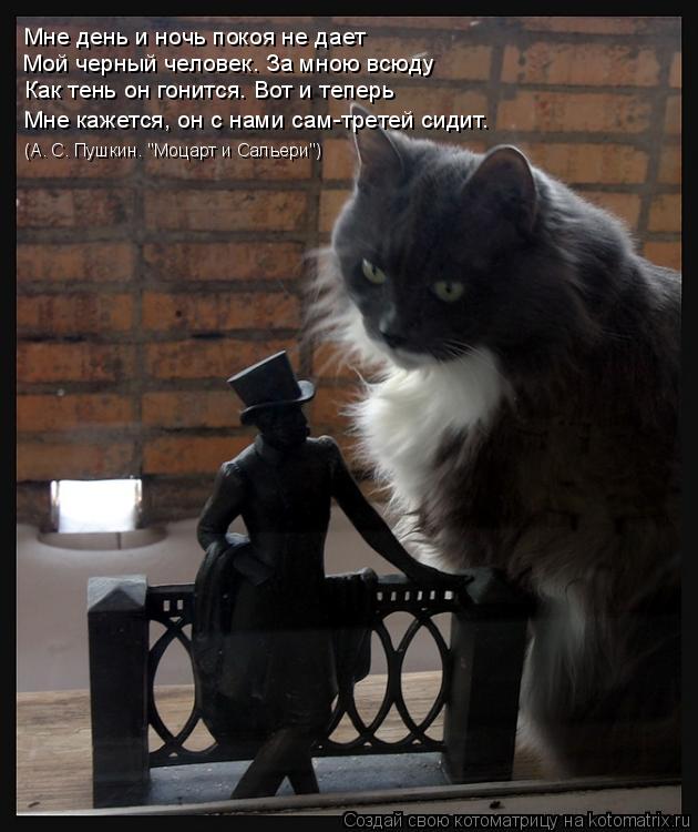 Мне день и ночь покоя не дает Мой черный человек. За мною всюду Как тень он гонится. Вот и тепе... Котоматрица: Мне день и ночь покоя не дает Мой черный человек. За мною всюду Как тень он гонится. Вот и теперь Мне кажется, он с нами сам-третей сидит. (А