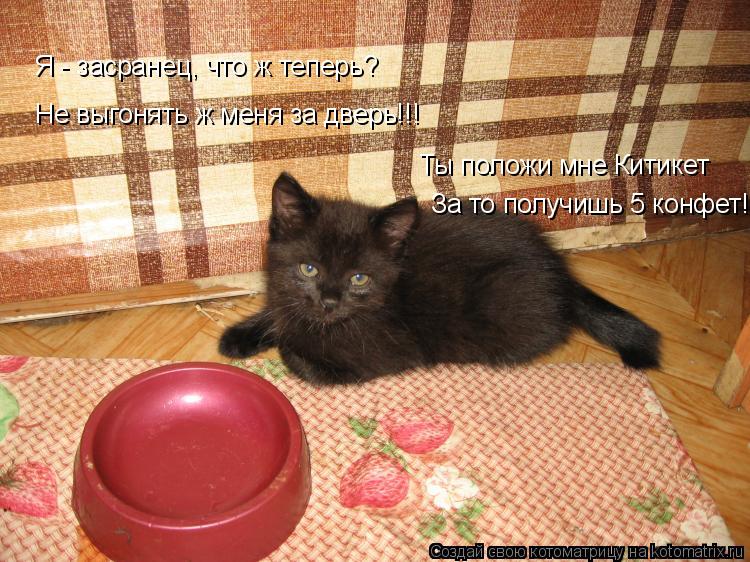 Я - засранец, что ж теперь? Не выгонять ж меня за дверь!!! Ты положи мне Китикет За то получишь 5 кон... Котоматрица: Я - засранец, что ж теперь? Не выгонять ж меня за дверь!!! Ты положи мне Китикет За то получишь 5 конфет!!!