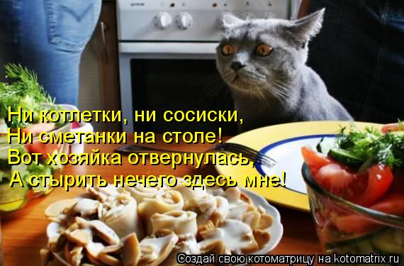 Ни котлетки, ни сосиски, Ни сметанки на столе! Вот хозяйка отвернулась, А стырить нечего здесь мне!... Котоматрица: Ни котлетки, ни сосиски, Ни сметанки на столе! Вот хозяйка отвернулась, А стырить нечего здесь мне!