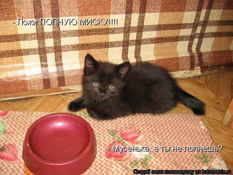 - Ложи ПОЛНУЮ МИСКУ!!!! - Мусенька, а ты не лопнешь?... Котоматрица: - Ложи ПОЛНУЮ МИСКУ!!!! - Мусенька, а ты не лопнешь?