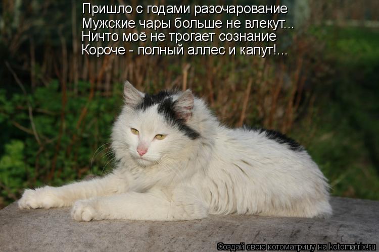 Пришло с годами разочарование Мужские чары больше не влекут... Ничто моё не трогает сознание Короче -... Котоматрица: Пришло с годами разочарование Мужские чары больше не влекут... Ничто моё не трогает сознание Короче - полный аллес и капут!...