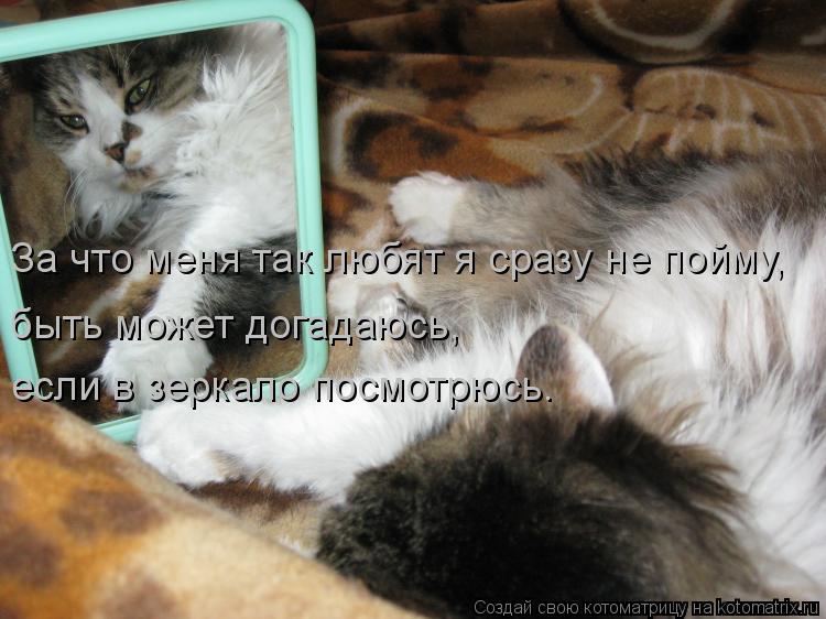 За что меня так любят я сразу не пойму, быть может догадаюсь, если в зеркало посмотрюсь.... Котоматрица: За что меня так любят я сразу не пойму, быть может догадаюсь, если в зеркало посмотрюсь.