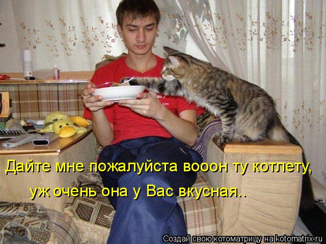 Дайте мне пожалуйста вооон ту котлету, уж очень она у Вас вкусная..... Котоматрица: Дайте мне пожалуйста вооон ту котлету, уж очень она у Вас вкусная..