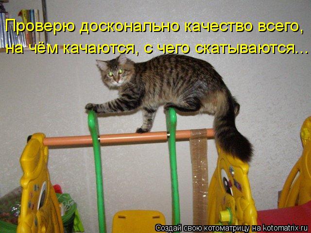 Проверю досконально качество всего, на чём качаются, с чего скатываются...... Котоматрица: Проверю досконально качество всего, на чём качаются, с чего скатываются...