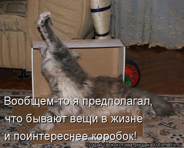 Вообщем-то я предполагал, что бывают вещи в жизне и поинтереснее коробок!... Котоматрица: Вообщем-то я предполагал, что бывают вещи в жизне и поинтереснее коробок!