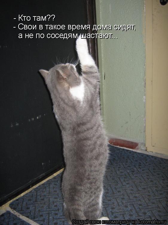 - Кто там?? - Свои в такое время дома сидят, а не по соседям шастают...... Котоматрица: - Кто там?? - Свои в такое время дома сидят, а не по соседям шастают...