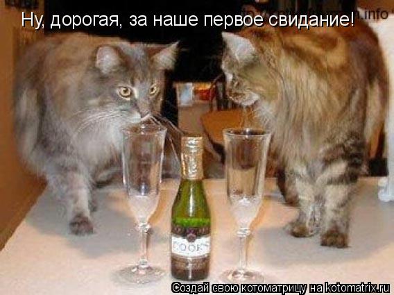 Ну, дорогая, за наше первое свидание!... Котоматрица: Ну, дорогая, за наше первое свидание!