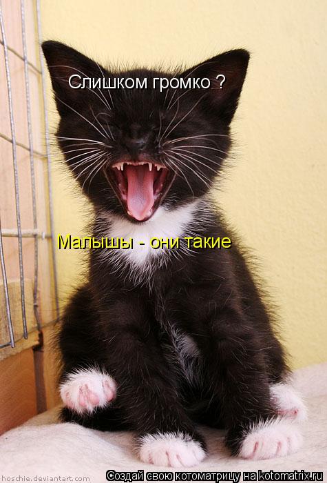 Слишком громко ? Малышы - они такие... Котоматрица: Слишком громко ? Малышы - они такие