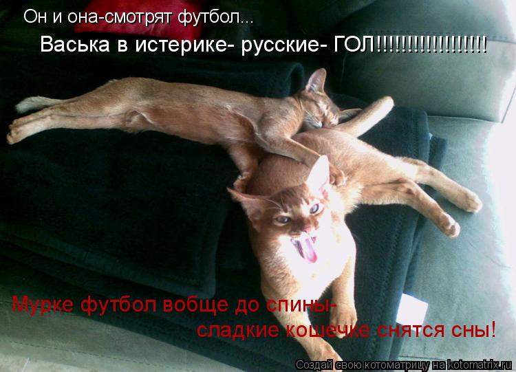 Он и она-смотрят футбол... Васька в истерике- русские- ГОЛ!!!!!!!!!!!!!!!!!! Мурке футбол вобще до сп... Котоматрица: Он и она-смотрят футбол... Васька в истерике- русские- ГОЛ!!!!!!!!!!!!!!!!!! Мурке футбол вобще до спины- сладкие кошечке снятся сны!