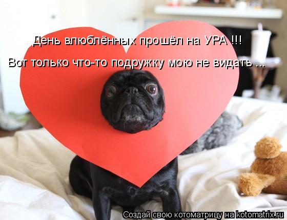 День влюблённых прошёл на УРА !!! Вот только что-то подружку мою не видать ...... Котоматрица: День влюблённых прошёл на УРА !!! Вот только что-то подружку мою не видать ...