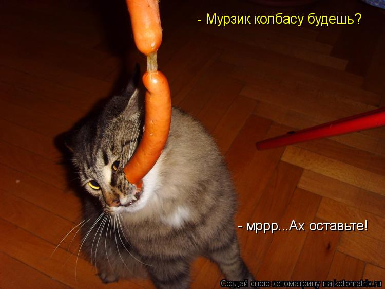 - Мурзик колбасу будешь? - мррр...Ах оставьте!... Котоматрица: - Мурзик колбасу будешь? - мррр...Ах оставьте!