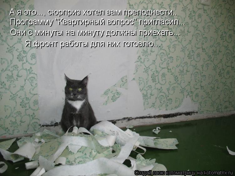 А я это..., сюрприз хотел вам преподнести.. Программу "Квартирный вопрос" пригласил... Они с минуты н... Котоматрица: А я это..., сюрприз хотел вам преподнести.. Программу "Квартирный вопрос" пригласил... Они с минуты на минуту должны приехать... Я фронт работы д