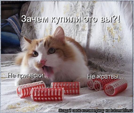 Не причёски... Не жратвы... Зачем купили это вы?!... Котоматрица: Не причёски... Не жратвы... Зачем купили это вы?!