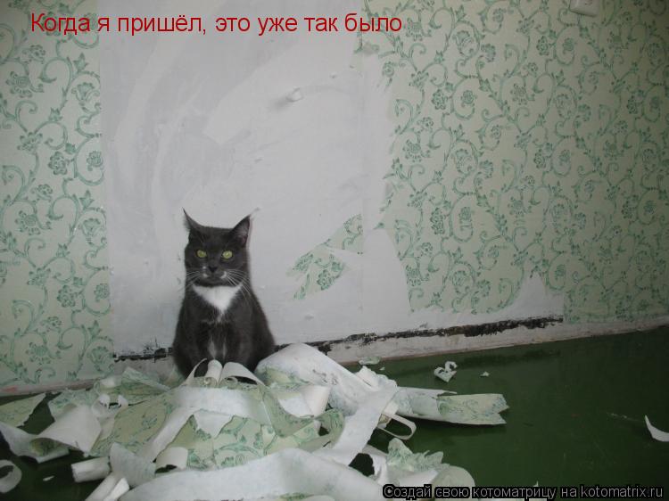 Когда я пришёл, это уже так было... Котоматрица: Когда я пришёл, это уже так было