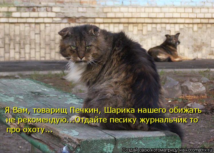 Я Вам, товарищ Печкин, Шарика нашего обижать не рекомендую...Отдайте песику журнальчик то про охоту.... Котоматрица: Я Вам, товарищ Печкин, Шарика нашего обижать не рекомендую...Отдайте песику журнальчик то про охоту...