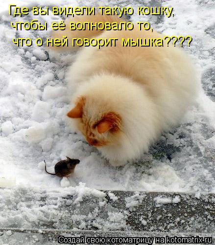 Где вы видели такую кошку, чтобы её волновало то, что о ней говорит мышка????... Котоматрица: Где вы видели такую кошку, чтобы её волновало то, что о ней говорит мышка????