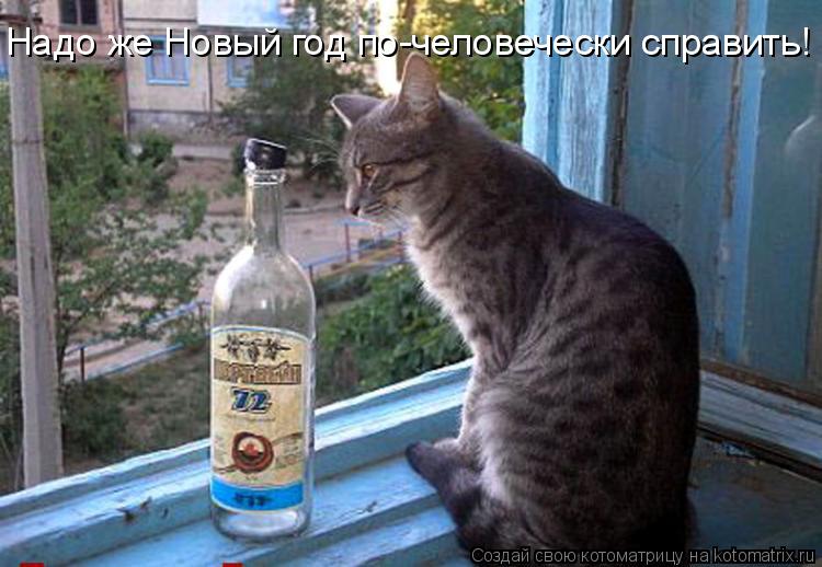 Надо же Новый год по-человечески справить!... Котоматрица: Надо же Новый год по-человечески справить!