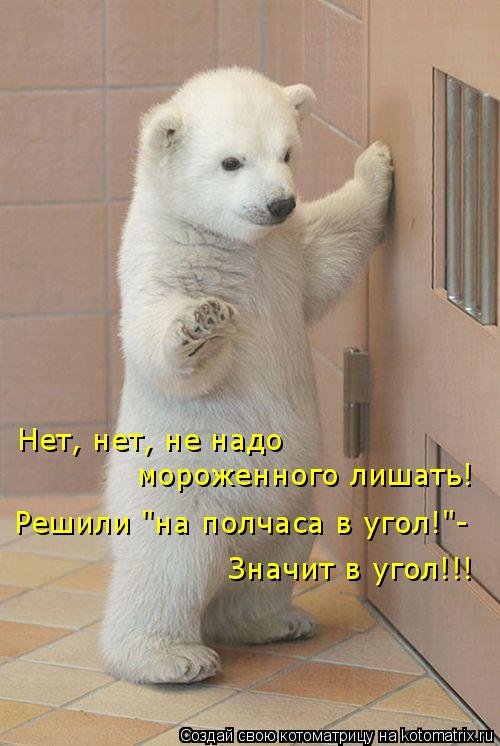 Нет, нет, не надо мороженного лишать! Решили "на полчаса в угол!"- Значит в угол!!!... Котоматрица: Нет, нет, не надо мороженного лишать! Решили "на полчаса в угол!"- Значит в угол!!!