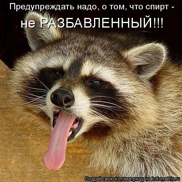 Предупреждать надо, о том, что спирт - не РАЗБАВЛЕННЫЙ!!!... Котоматрица: Предупреждать надо, о том, что спирт - не РАЗБАВЛЕННЫЙ!!!