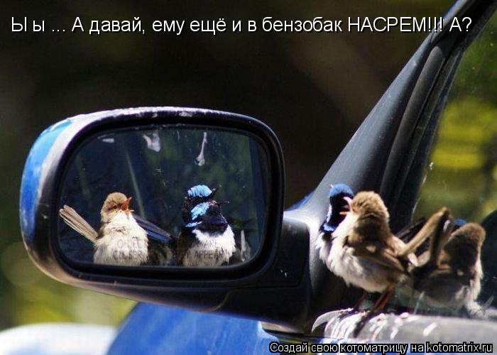 Ы ы ... А давай, ему ещё и в бензобак НАСРЕМ!!! А?... Котоматрица: Ы ы ... А давай, ему ещё и в бензобак НАСРЕМ!!! А?