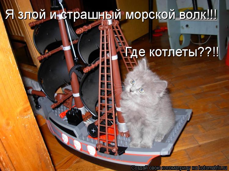 Я злой и страшный морской волк!!! Где котлеты??!!... Котоматрица: Я злой и страшный морской волк!!! Где котлеты??!!