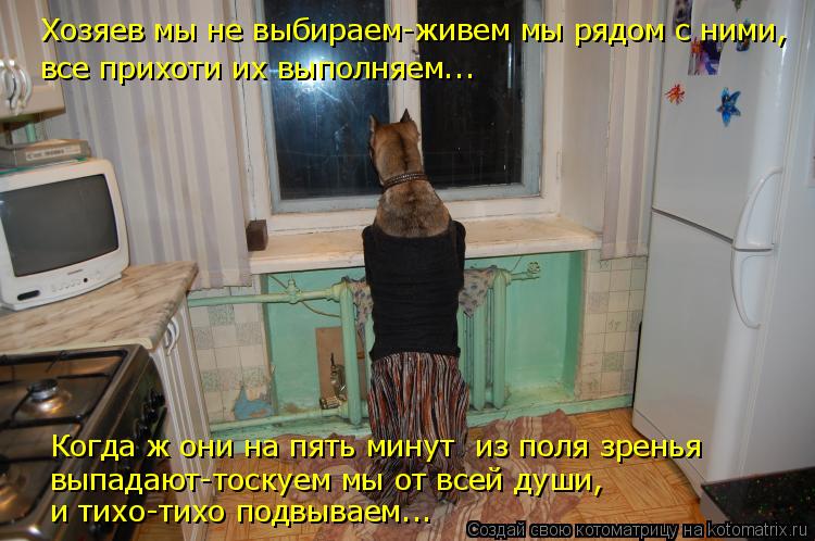 Хозяев мы не выбираем-живем мы рядом с ними, Когда ж они на пять минут из поля зренья выпадают-тоску... Котоматрица: Хозяев мы не выбираем-живем мы рядом с ними, Когда ж они на пять минут из поля зренья выпадают-тоскуем мы от всей души, и тихо-тихо подвываем.