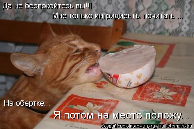 Да не беспокойтесь вы!!! Мне только ингридиенты почитать ... На обёртке... Я потом на место положу...... Котоматрица: Да не беспокойтесь вы!!! Мне только ингридиенты почитать ... На обёртке... Я потом на место положу...