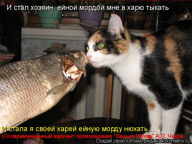 И стал хозяин ейной мордой мне в харю тыкать И стала я своей харей ейную морду нюхать... (Осовременн... Котоматрица: И стал хозяин ейной мордой мне в харю тыкать И стала я своей харей ейную морду нюхать... (Осовременненный вариант произведения "Ванька Жуков