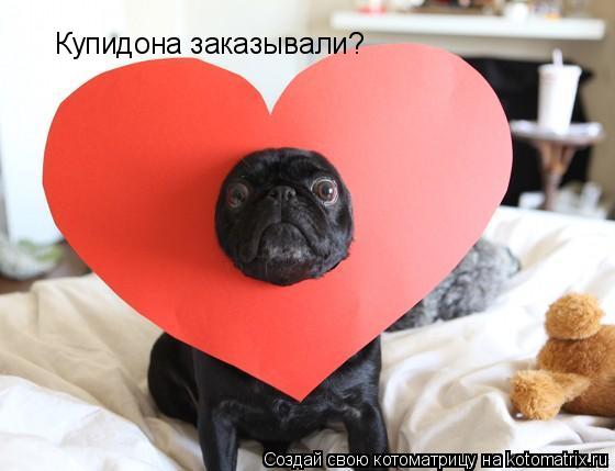 Купидона заказывали?... Котоматрица: Купидона заказывали?