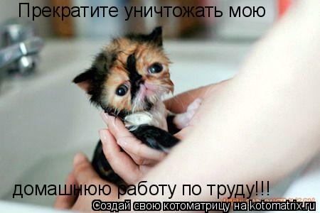 Прекратите уничтожать мою домашнюю работу по труду!!!... Котоматрица: Прекратите уничтожать мою домашнюю работу по труду!!!