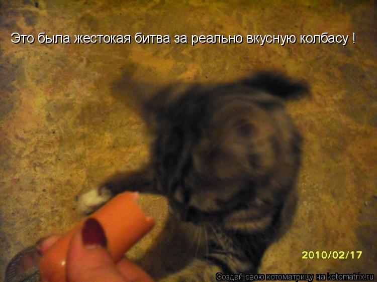 Это была жестокая битва за реально вкусную колбасу !... Котоматрица: Это была жестокая битва за реально вкусную колбасу !